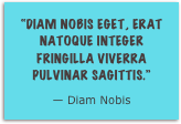 “Diam nobis eget, erat natoque integer fringilla viverra pulvinar sagittis.”
— Diam Nobis